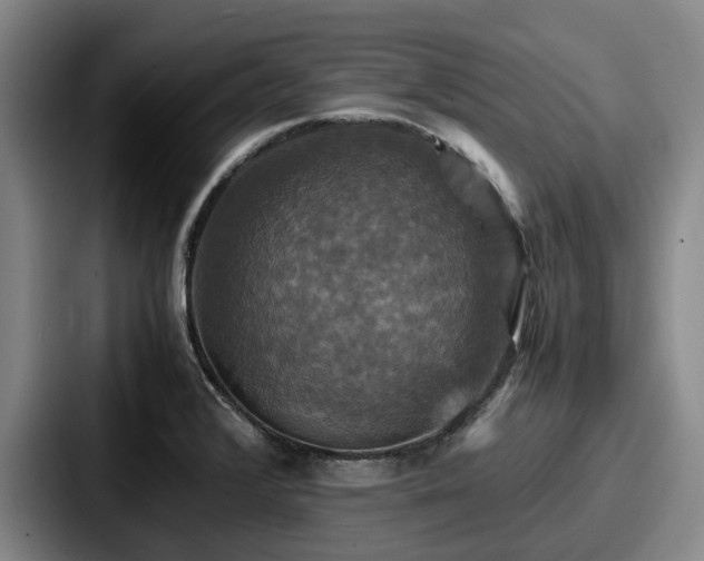 X0000087711376200705111413