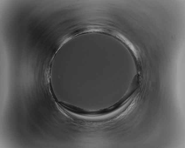 X0000087711377200705111413