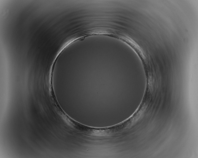 X0000087711378200705111413