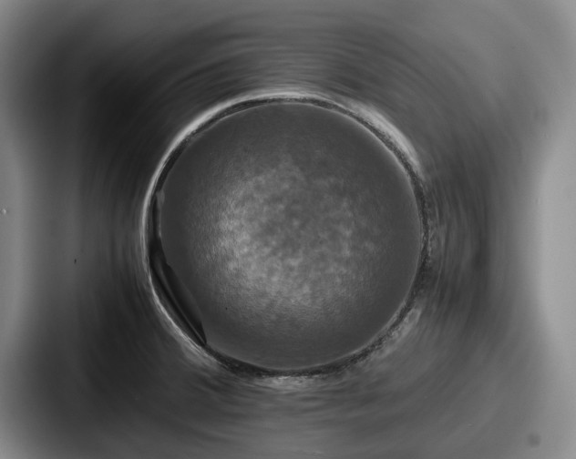 X0000087711380200705111413