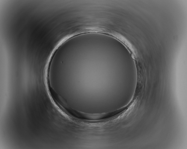 X0000087711381200705111413