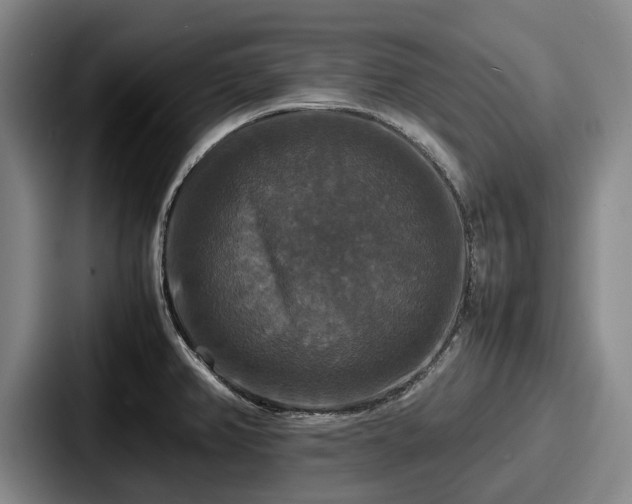 X0000087711382200705111413