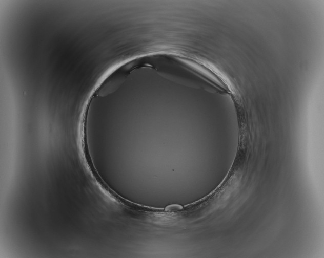 X0000087711383200705111413