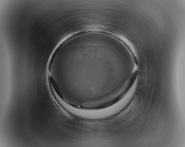 X0000087711384200705111413