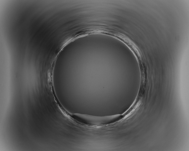 X0000087711385200705111413