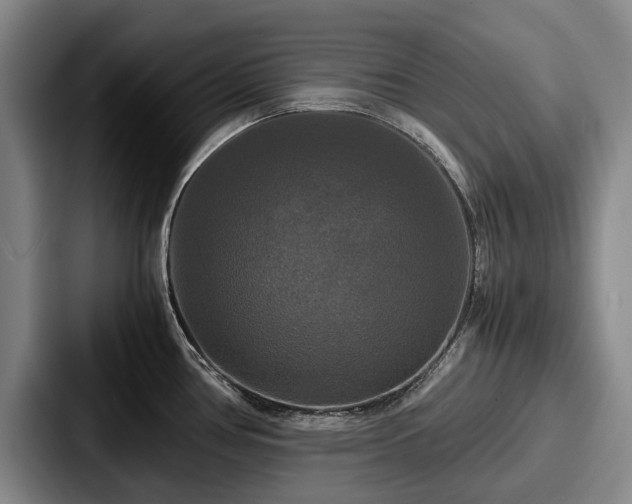 X0000087711386200705111413