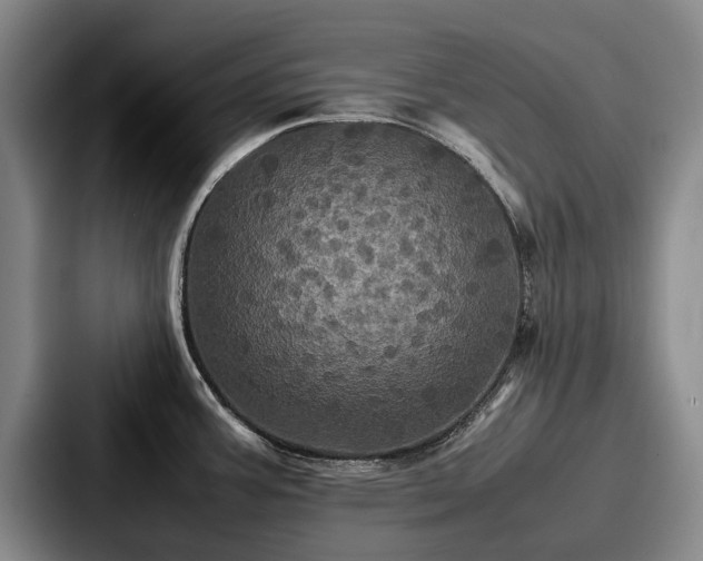 X0000087711387200705111413