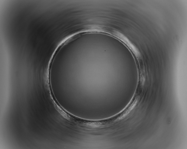 X0000087711388200705111413