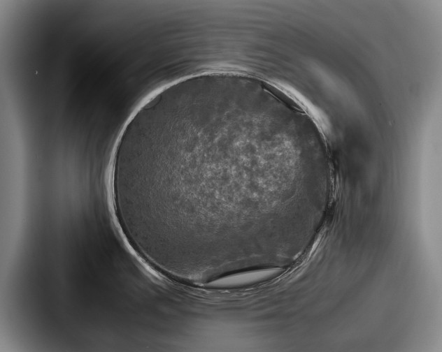 X0000087711391200705111413