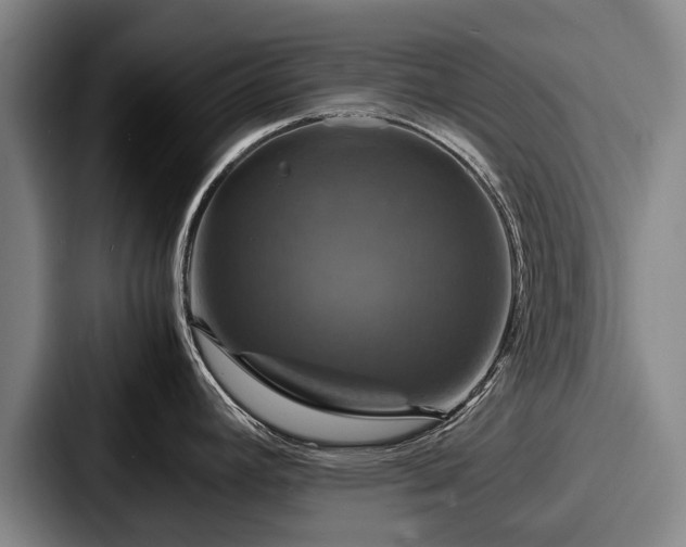 X0000087711392200705111413