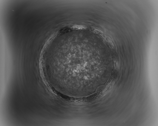 X0000087711393200705111413