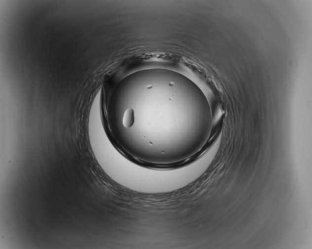 X0000087711394200705111413