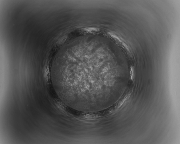 X0000087711395200705111413