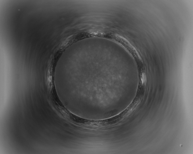 X0000087711396200705111413