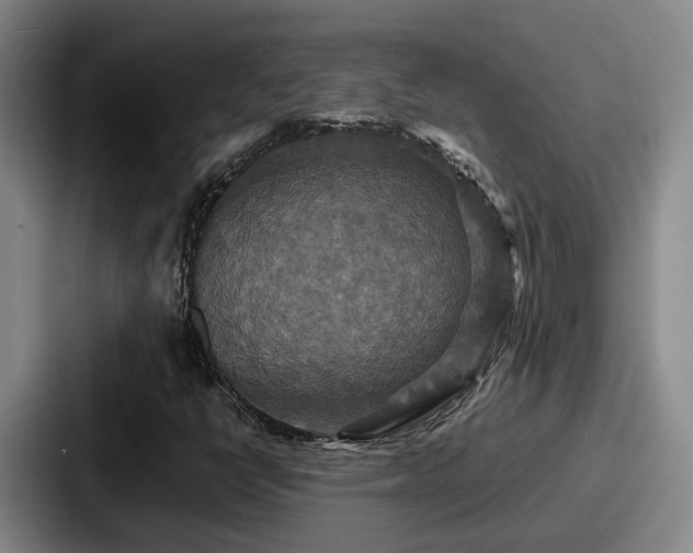 X0000087711398200705111413
