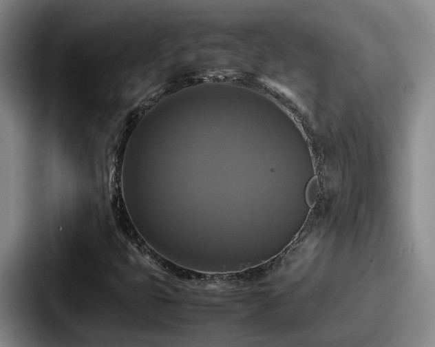 X0000087711399200705111413