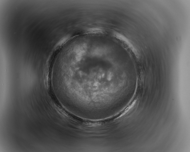 X0000087711403200705111413