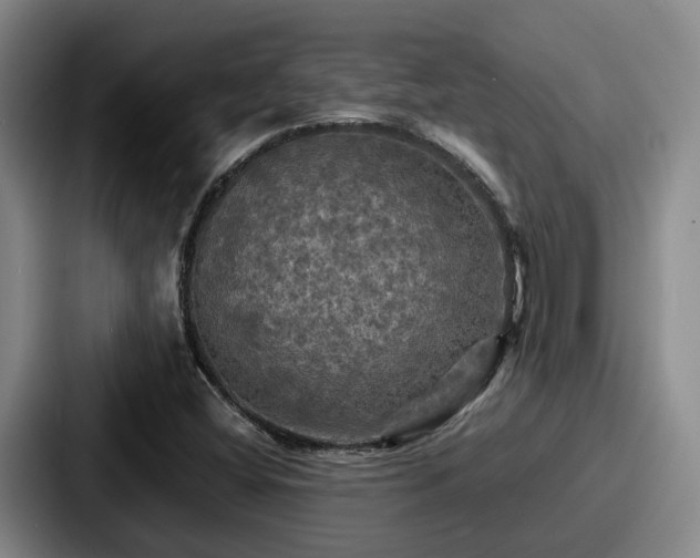 X0000087711404200705111413