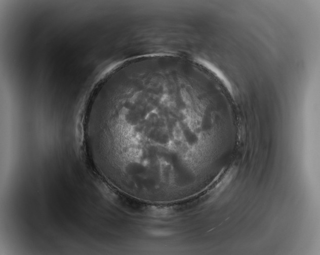 X0000087711407200705111413