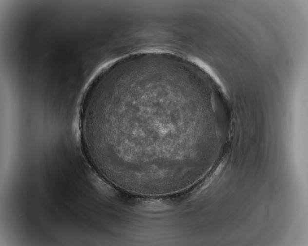 X0000087711408200705111413