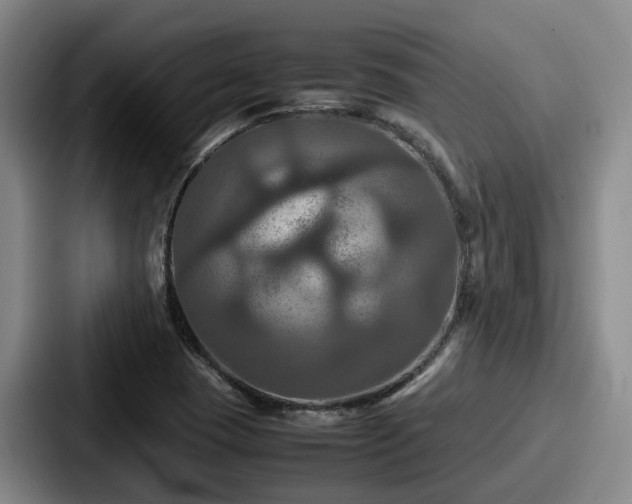 X0000087711409200705111413