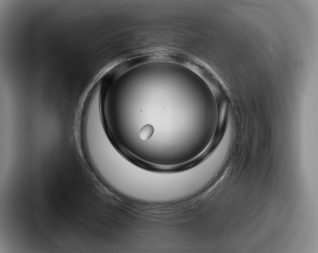 X0000087711410200705111413
