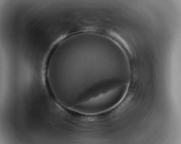 X0000087711411200705111413