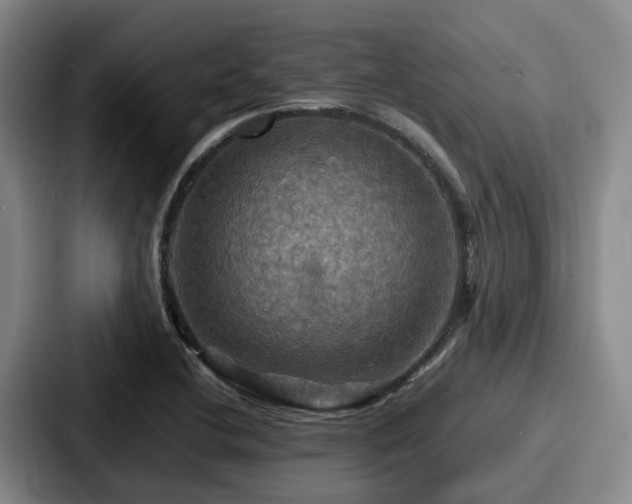 X0000087711412200705111413