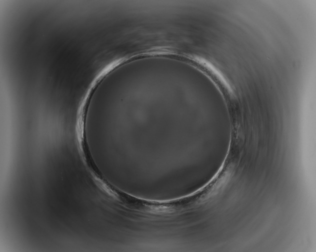 X0000087711413200705111413