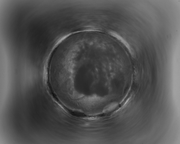 X0000087711415200705111413
