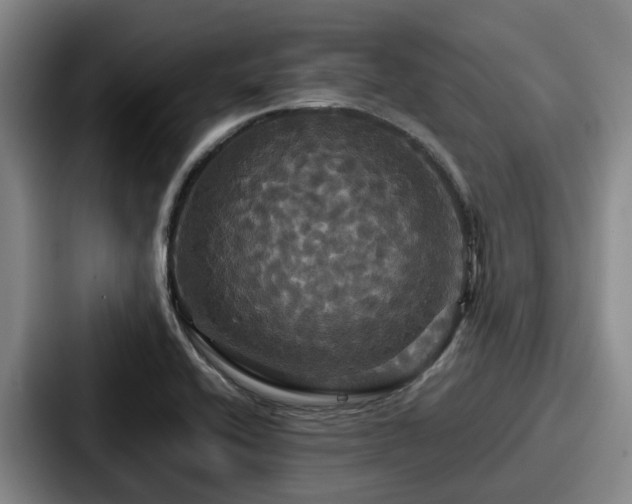X0000087711416200705111413