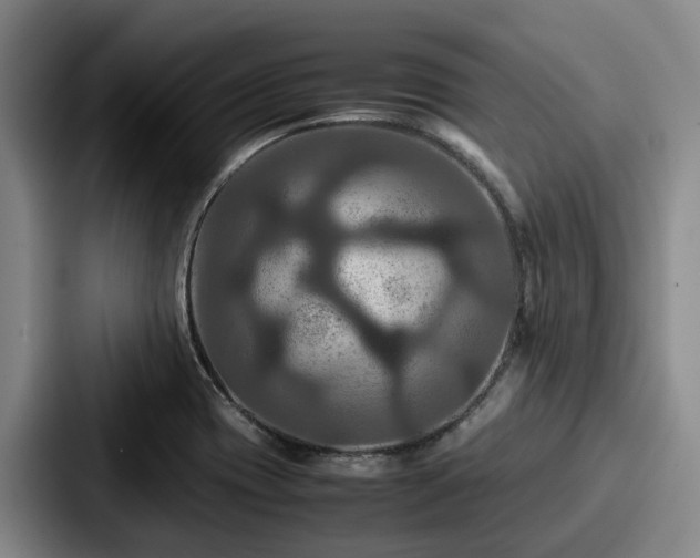 X0000087711417200705111413
