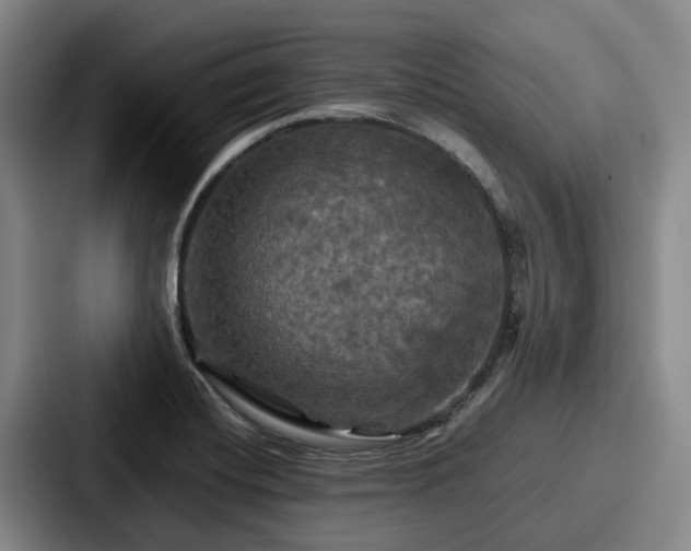 X0000087711420200705111413