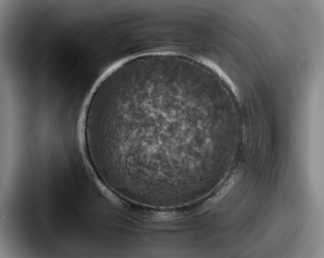 X0000087711421200705111413