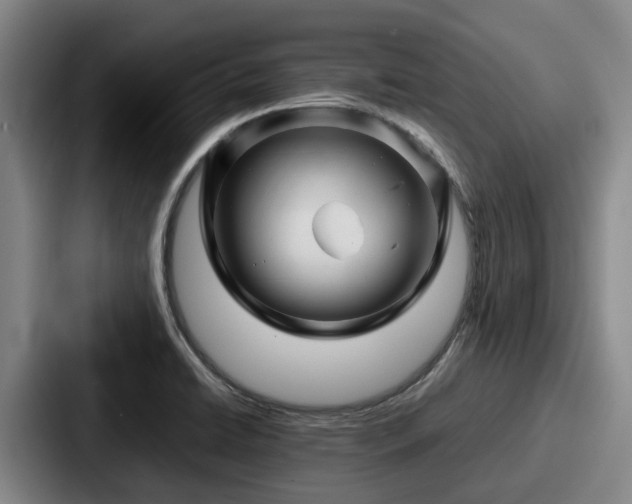 X0000087711422200705111413