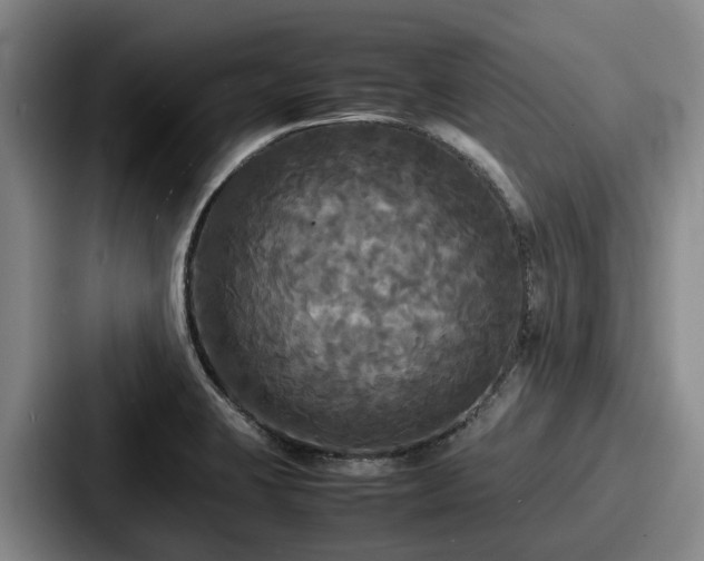 X0000087711423200705111413