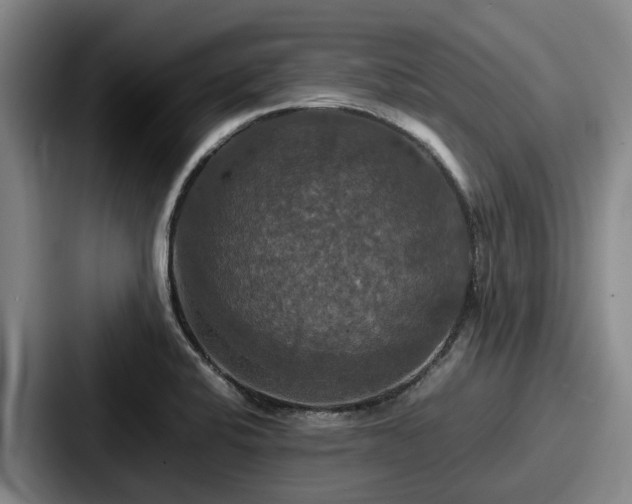 X0000087711424200705111413