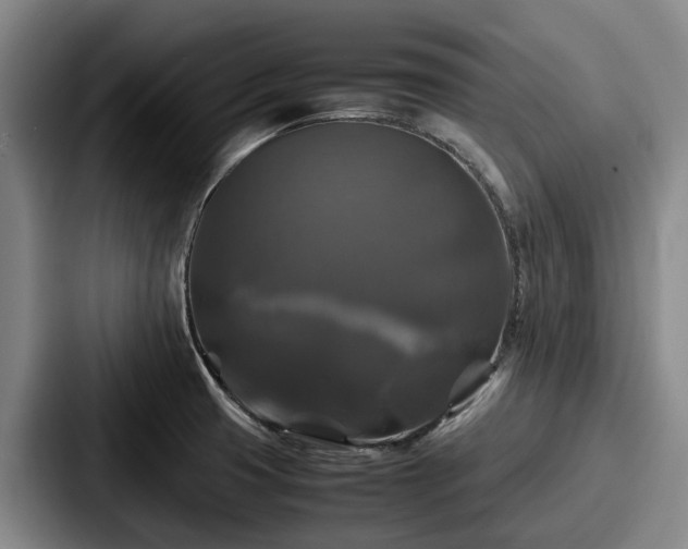 X0000087711425200705111413