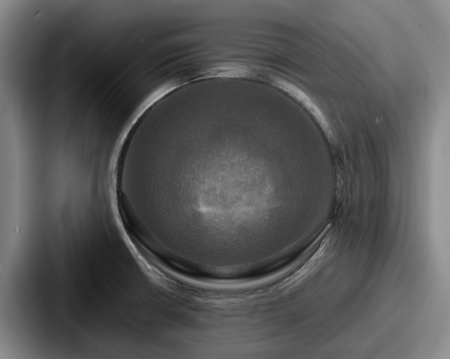 X0000087711426200705111413