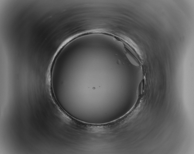 X0000087711428200705111413