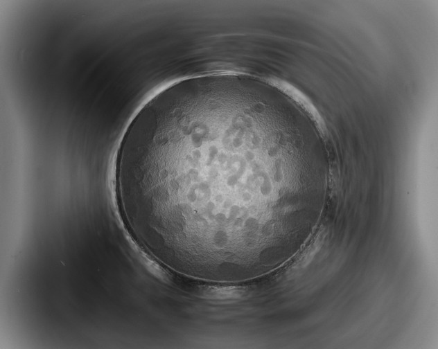X0000087711431200705111413