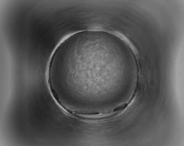 X0000087711432200705111413