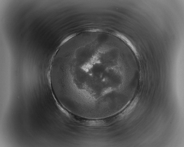 X0000087711433200705111413