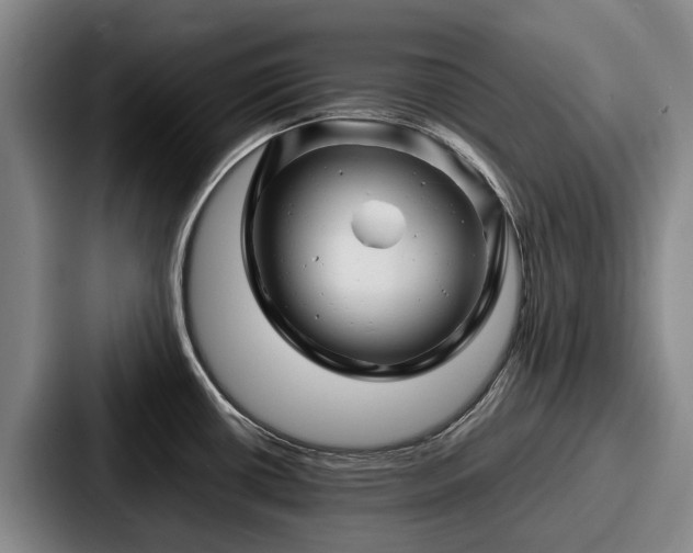 X0000087711434200705111413