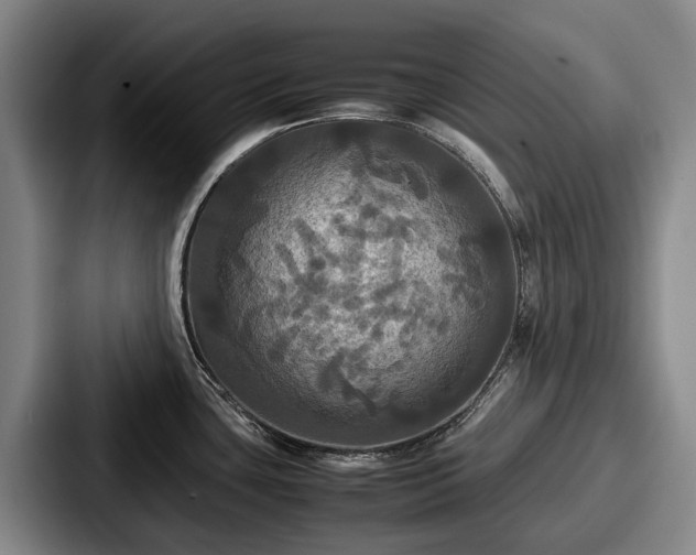 X0000087711435200705111413