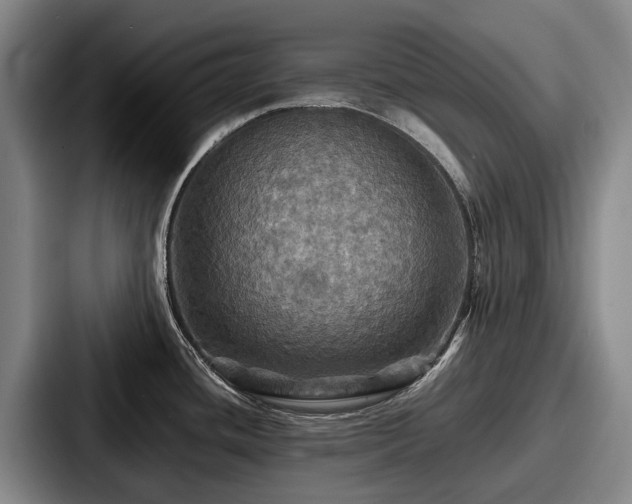 X0000087711436200705111413