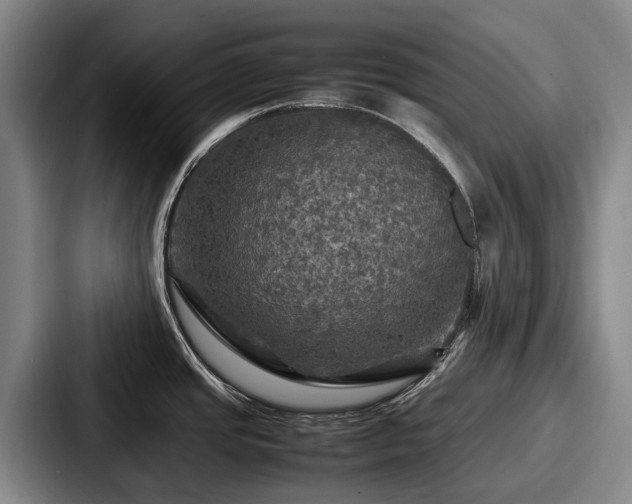 X0000087711437200705111413