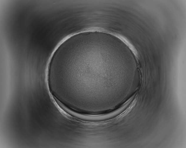 X0000087711438200705111413