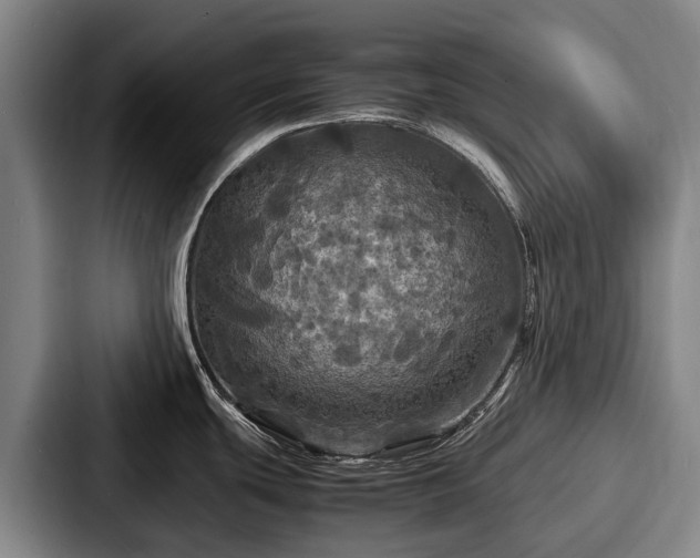 X0000087711439200705111413