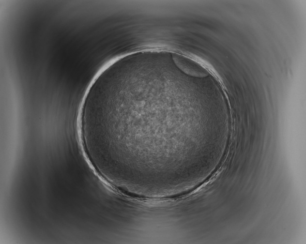 X0000087711440200705111413